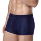 Breathable Antibacterial Boxer Mesh Silk Briefs